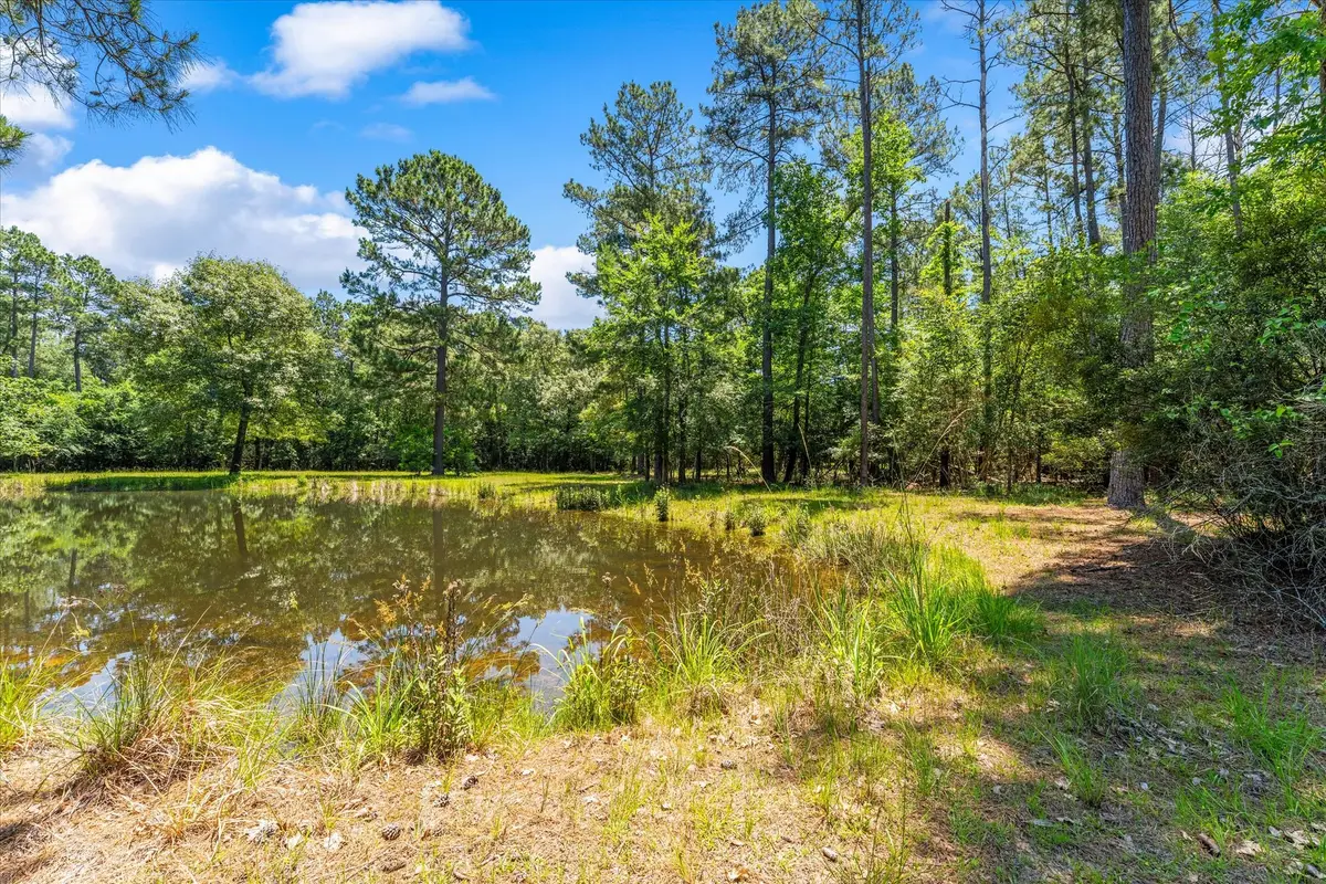 28623 Beth Marie, Magnolia, TX 77355 - #1
