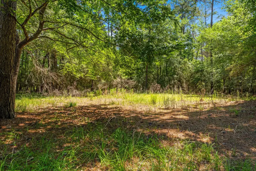 28623 Beth Marie, Magnolia, TX 77355 - #2