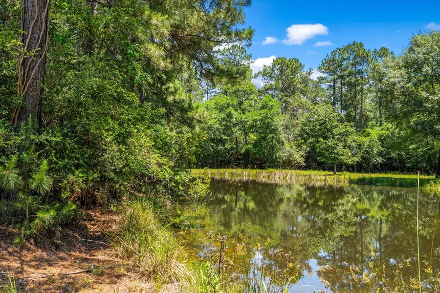 28623 Beth Marie, Magnolia, TX 77355 - #3