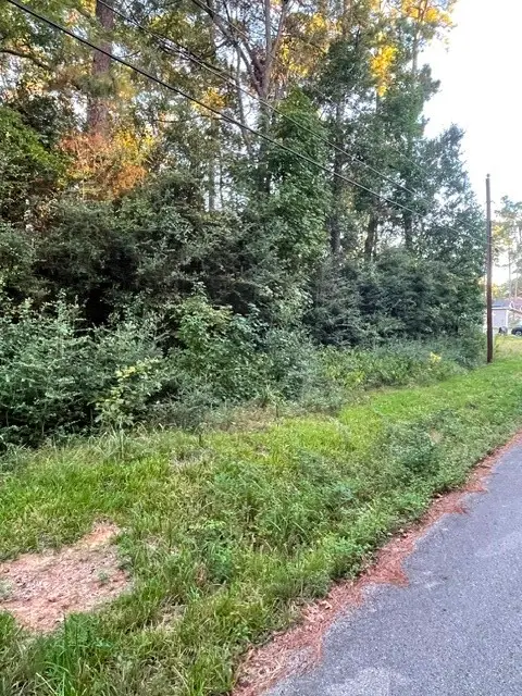 TBD .51 AC Pecan Dr, Montgomery, TX 77356 - #3