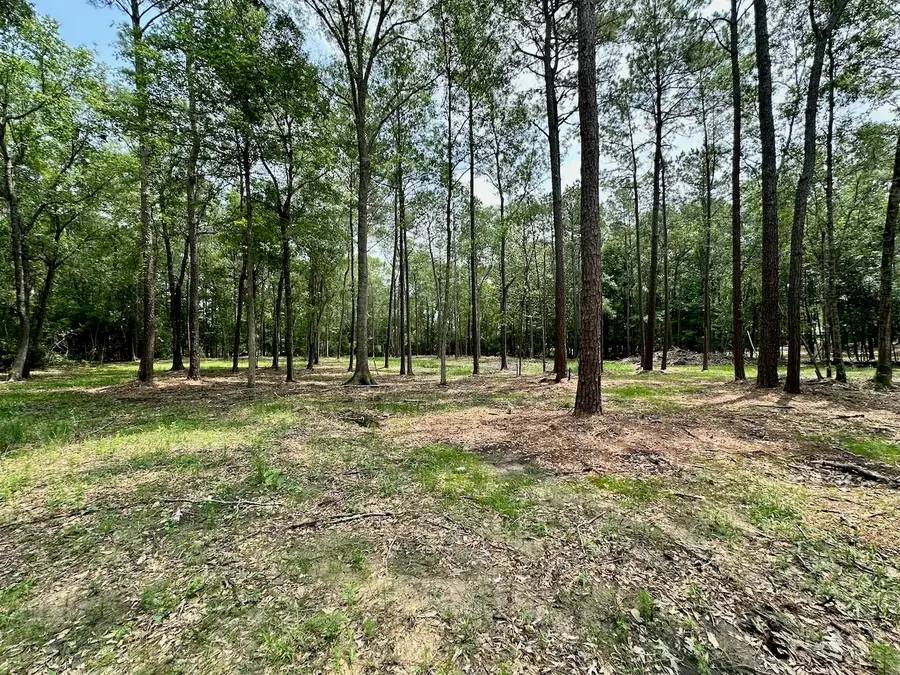 10460 Sweetgum Lane, Lumberton, TX 77657 - #3