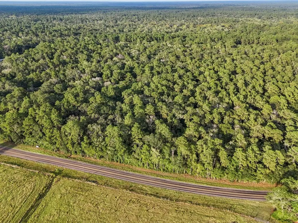 0000 Tbd Fm 1725, Cleveland, TX 77328 - #1