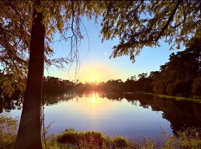 407 Flat Rock Trail, Conroe, TX 77304 - #2