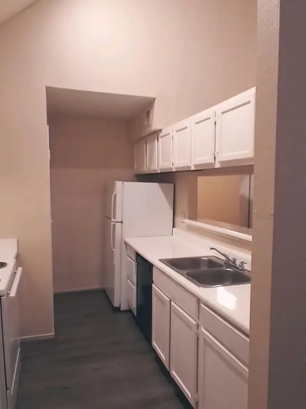 14550 Fonmeadow Drive #1100, Houston, TX 77035