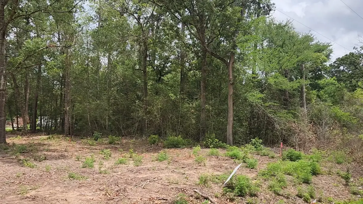 Lot 10 B53 Sweetleaf Lane, Plantersville, TX 77363 - #1