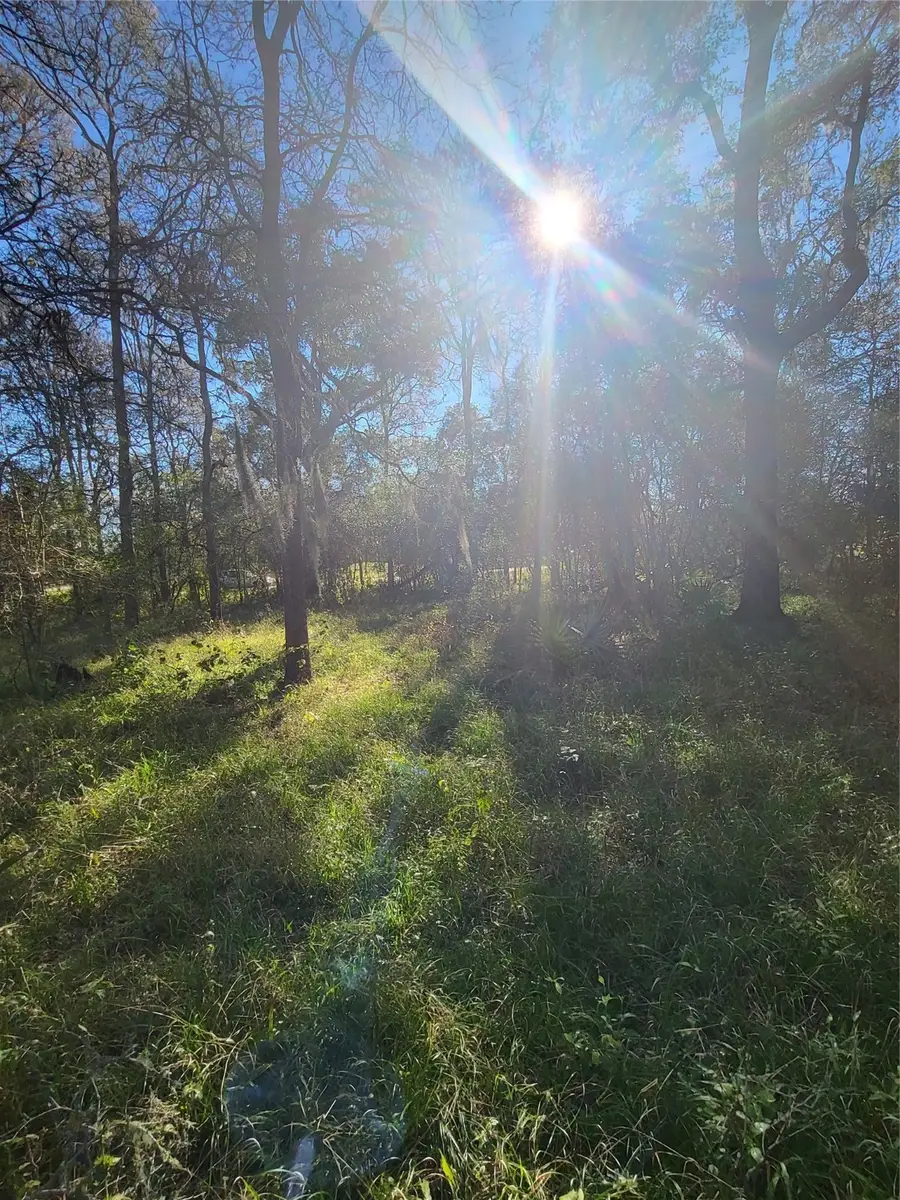 592 Cabana Trail, Angleton, TX 77515 - Image #3