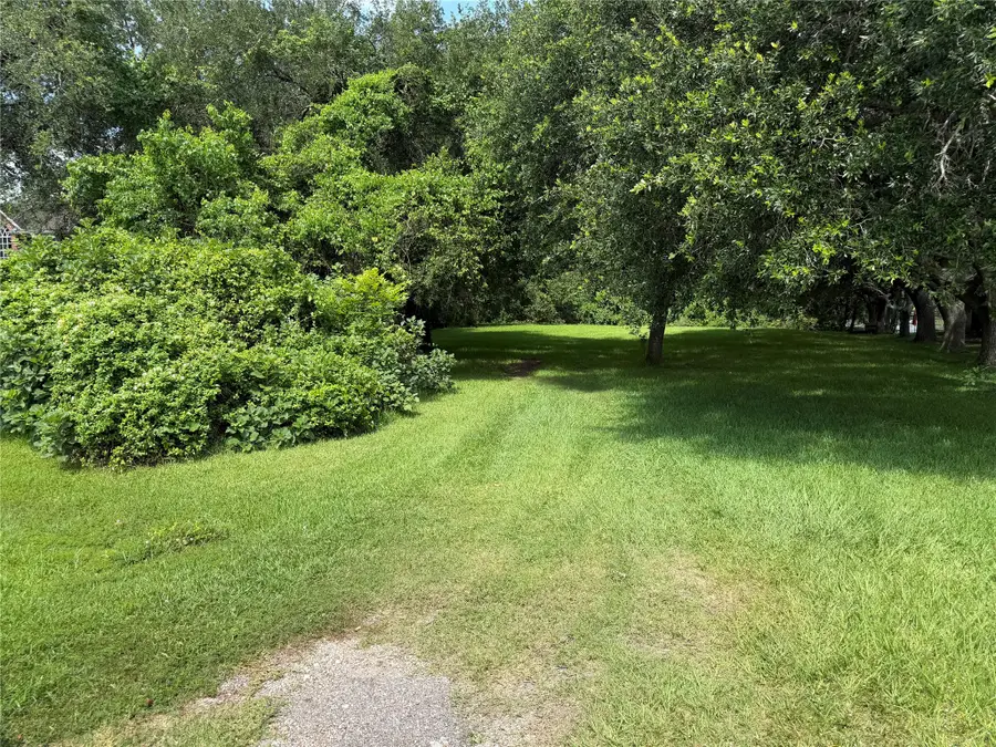 4907 Diamond Spring Drive Drive, Missouri City, TX 77459 - #2