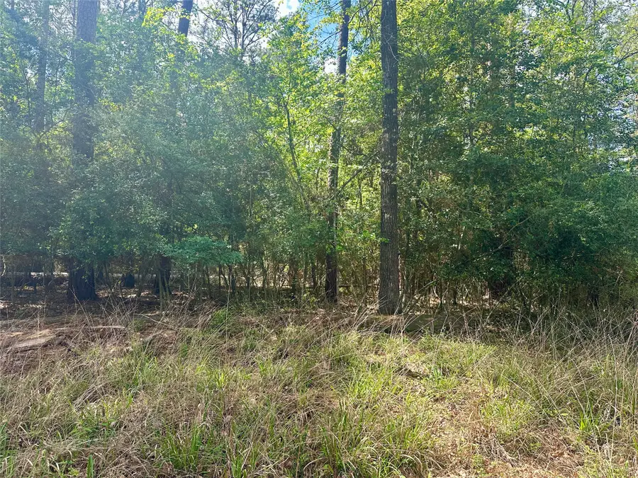 00 Belladonna Drive, Onalaska, TX 77360 - #3