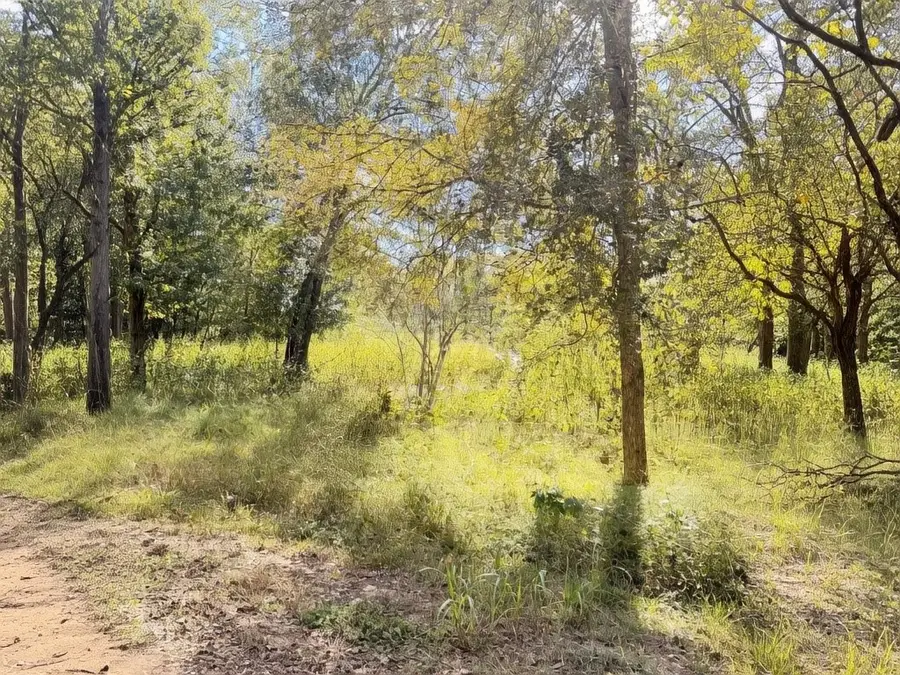 10 Neuman Street, Coldspring, TX 77331 - #2