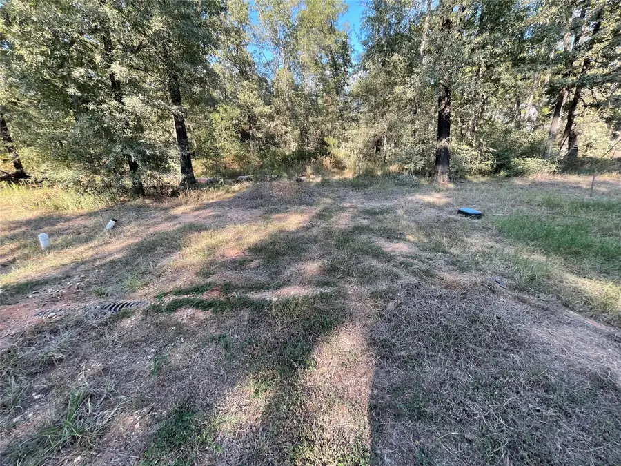 136 Forrestcrest Drive, Livingston, TX 77351 - #2