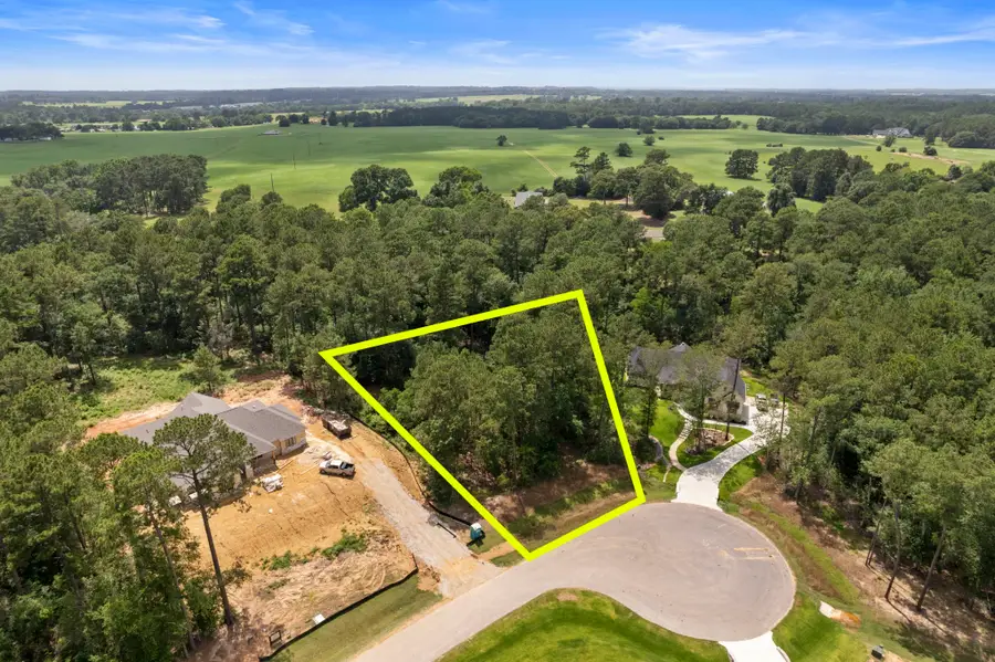 8618 Cedar Meadow Lane, Plantersville, TX 77363 - Image #3