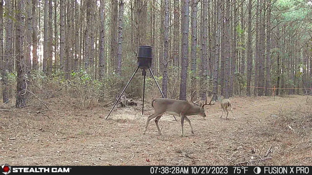 350 Williamson Way, Lovelady, TX 75851 - Image #1