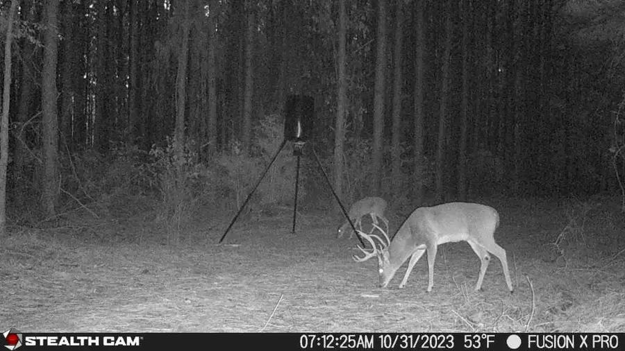 350 Williamson Way, Lovelady, TX 75851 - Image #2