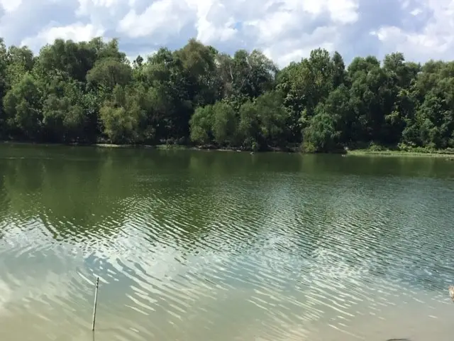 351 S Lakeside Drive, Huntsville, TX 77320 - #2