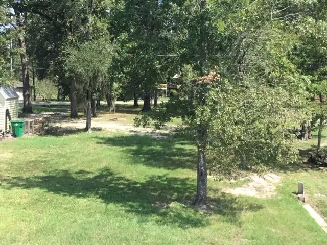 351 S Lakeside Drive, Huntsville, TX 77320 - #3
