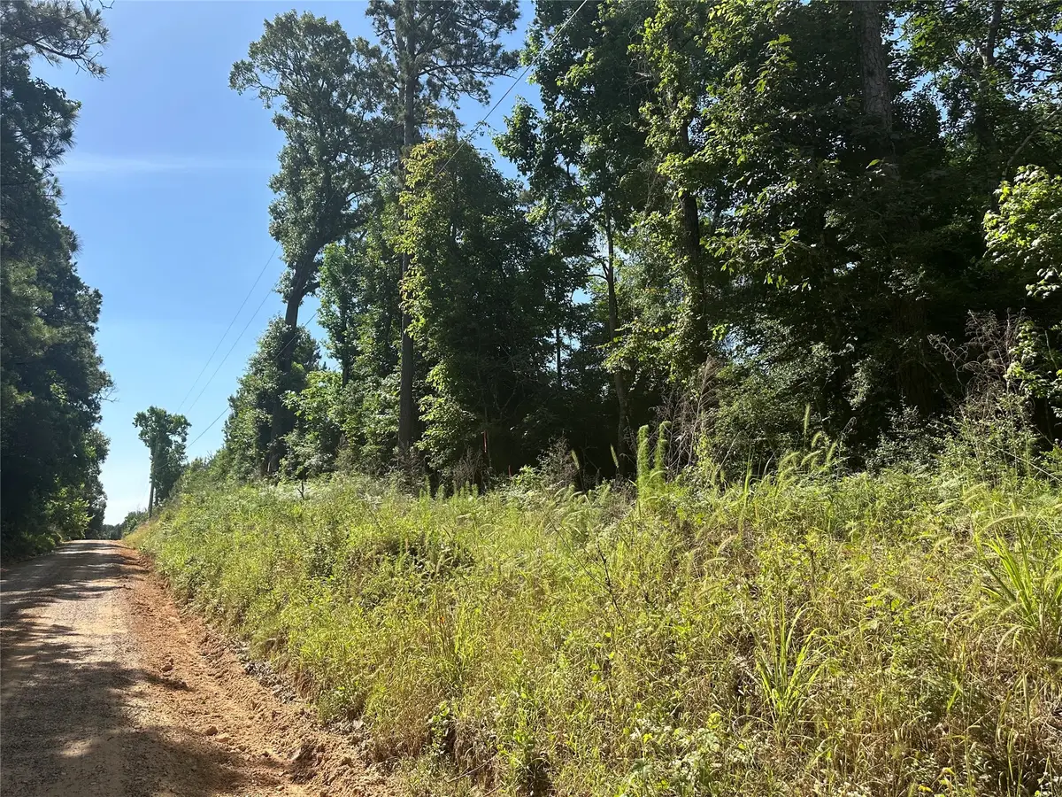 TBD Oakdale Loop, Livingston, TX 77351 - #1