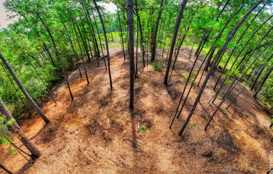 6566 Parkside, Brookeland, TX 75931 - Image #2