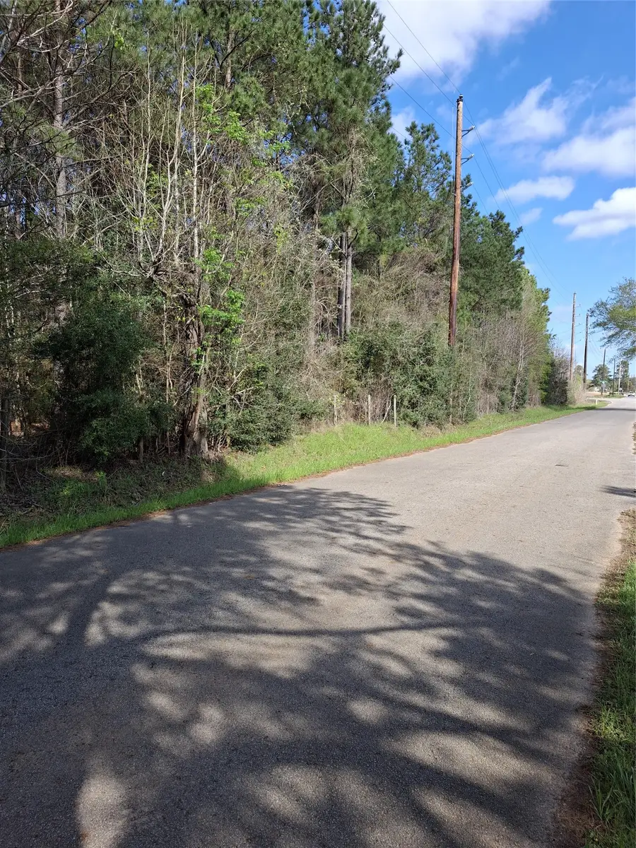 25450 Decker Prairie Rosehill Road, Magnolia, TX 77355 - #2