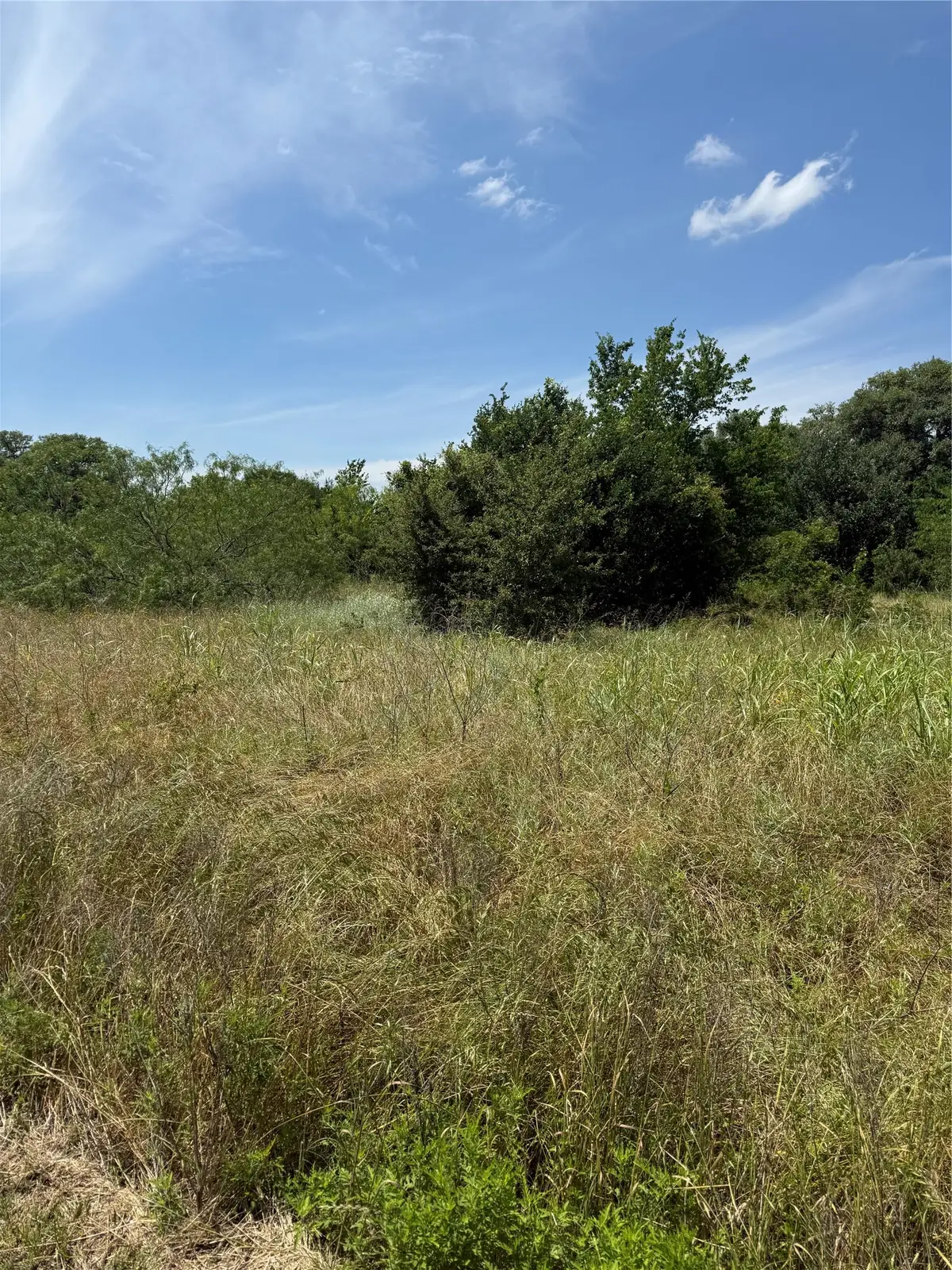 0 County Road 438, Snook, TX 77878 - #1