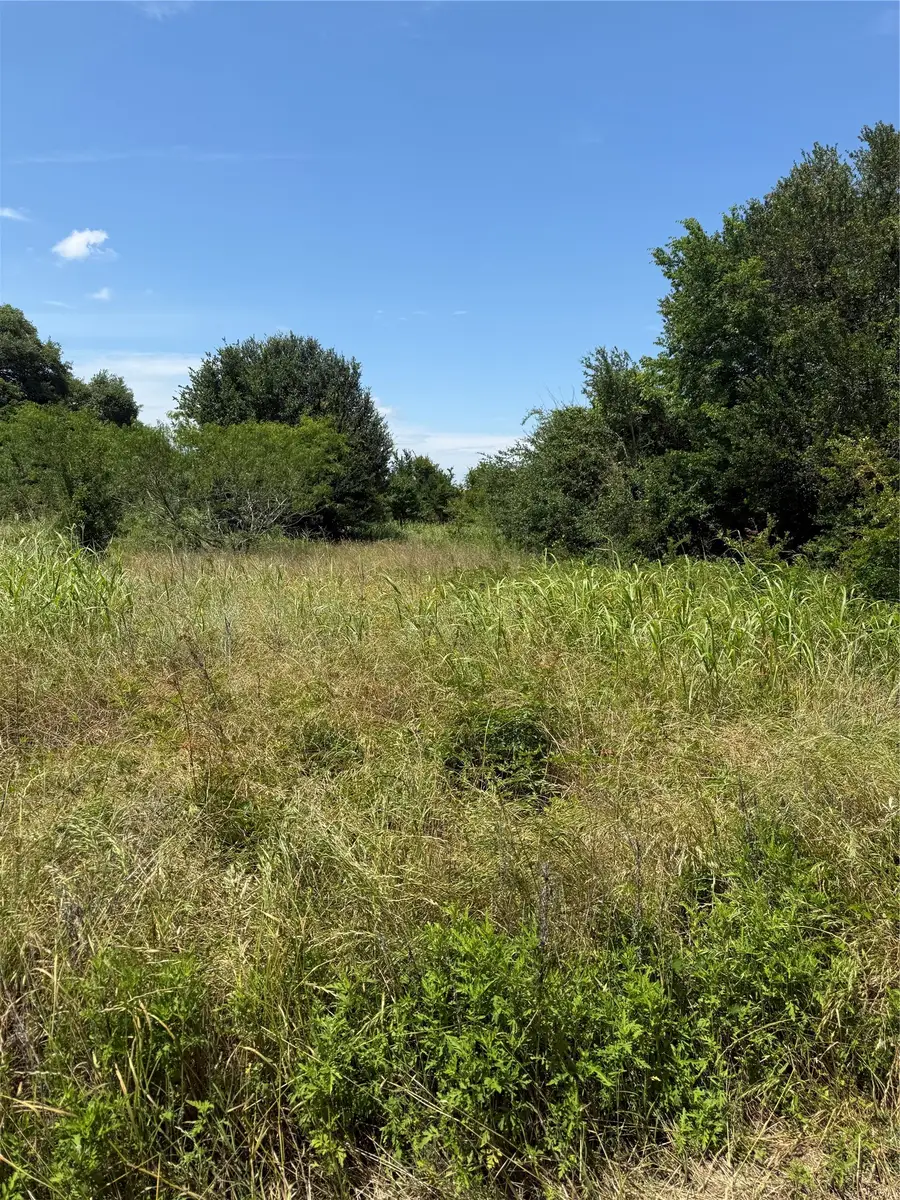 0 County Road 438, Snook, TX 77878 - #2