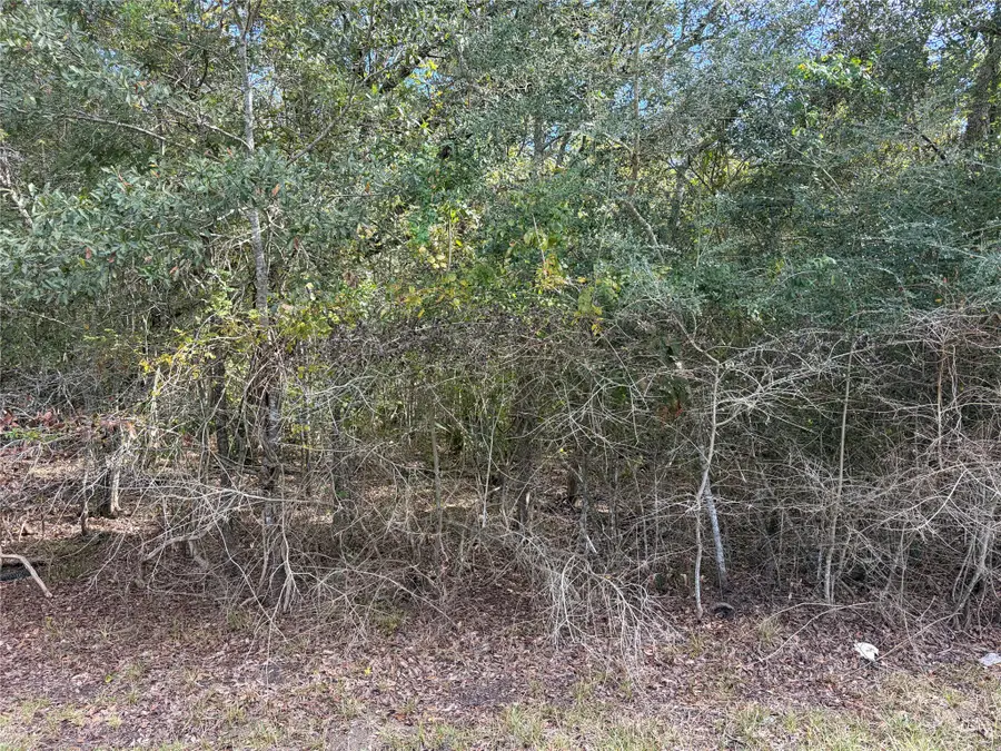 00 Bayou Drive, Danbury, TX 77534 - #2