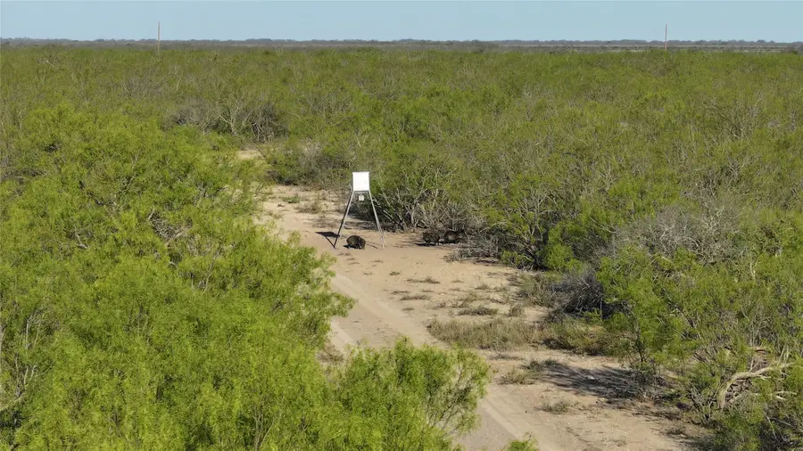 12355 Texas 131, Brackettville, TX 78832 - Image #2