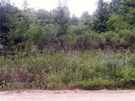 0000 County Road 2926, Cleveland, TX 77327