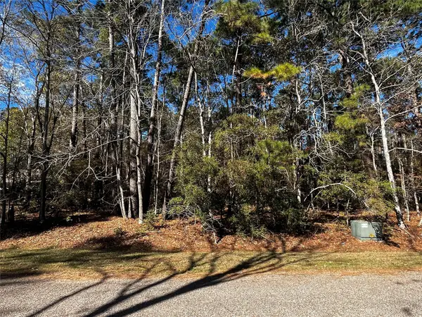 10 Wentworth Lane, Coldspring, TX 77331