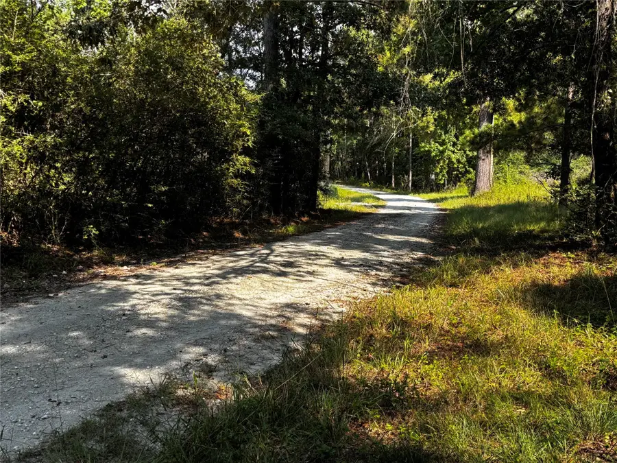 0000 Motely Way, Lovelady, TX 75851 - Image #3