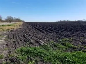 00 King Road, Orchard Kendleton, TX 77435 - Image #1