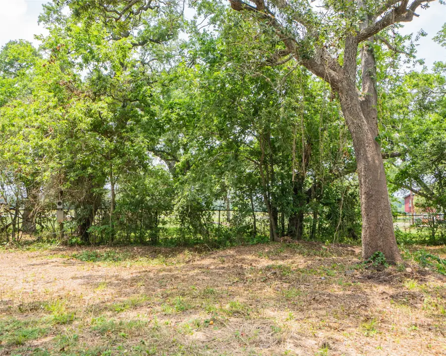0 N Guinevere Drive, Sargent, TX 77414 - Image #2