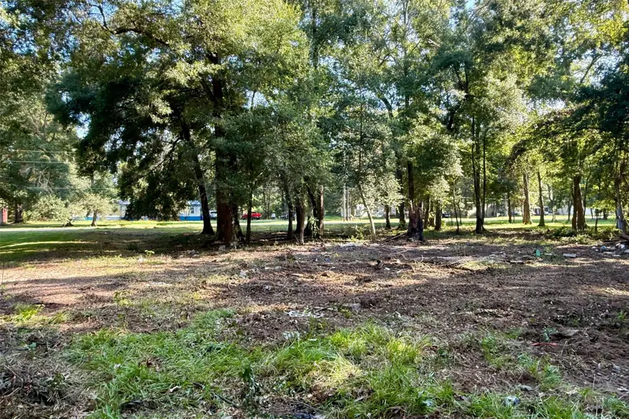 318 County Road 4704, Dayton, TX 77535 - #3
