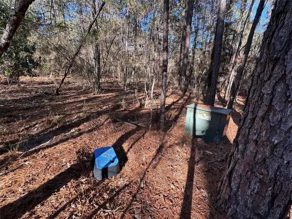 345 Sumac Drive, Brookeland, TX 75931