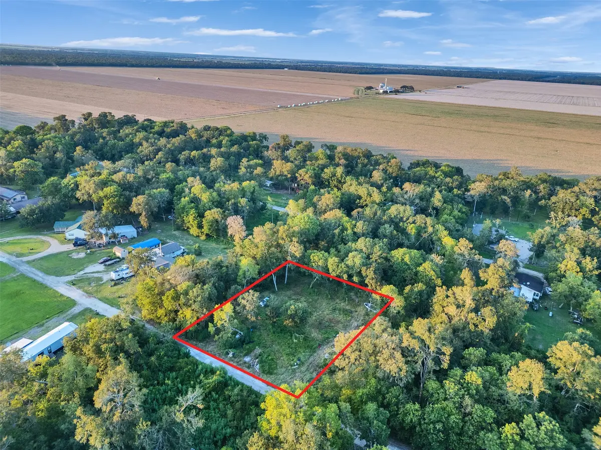 TBD Lost Forest Drive, Guy, TX 77444 - Image #1