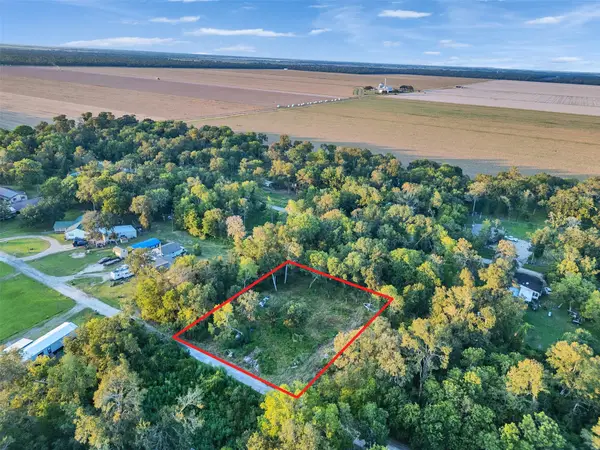 TBD Lost Forest Drive, Guy, TX 77444