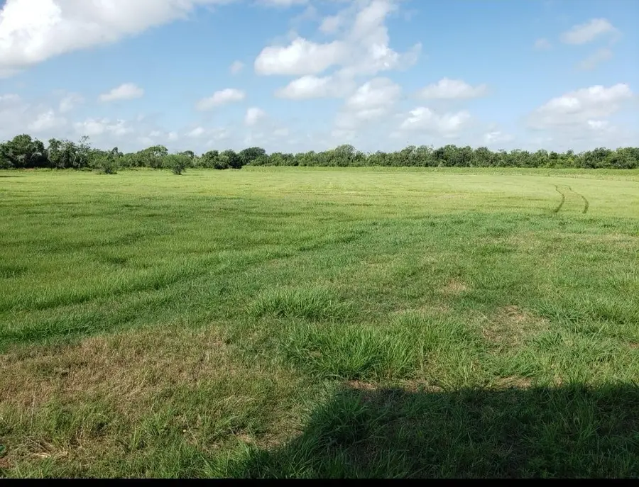 169 Timberline Drive, Bay City, TX 77414 - Image #2