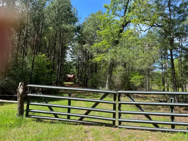 (Tract 1) 33 Eubanks Road, Bedias, TX 77831