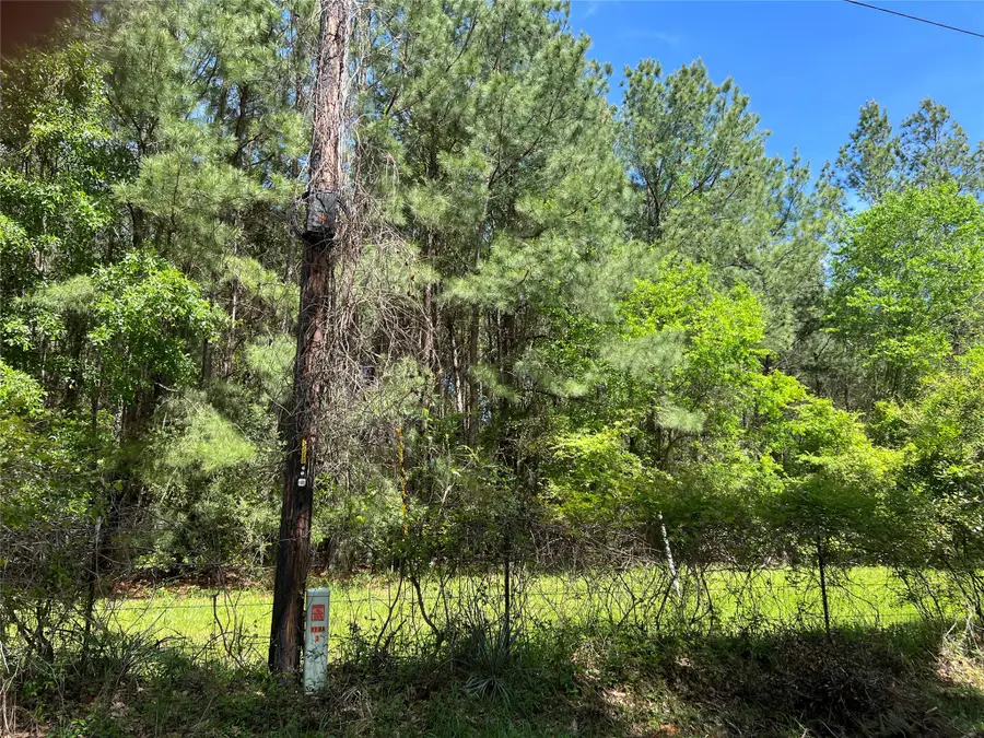 (Tract 1) 33 Eubanks Road, Bedias, TX 77831 - #3