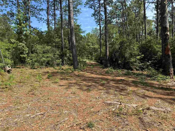 565 Sparkleberry Drive, Brookeland, TX 75931