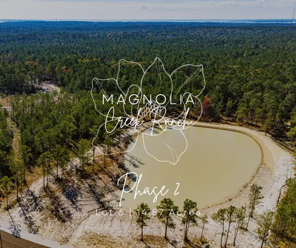 026 King Ranch Rd South Road S, Onalaska, TX 77360