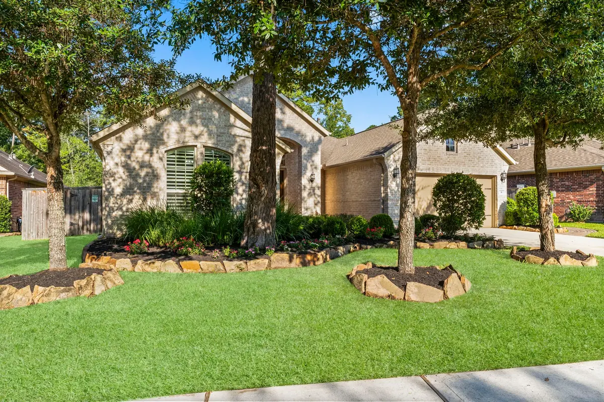 8 S Elderberry Trail, Montgomery, TX 77316 - #1