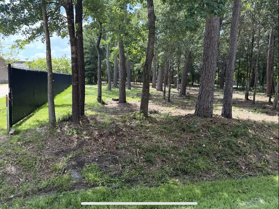 0 Bear Branch, Magnolia, TX 77354 - #3