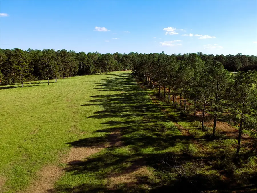 TBD E Lakeland Court Lot 18, Hillister, TX 77624 - Image #3