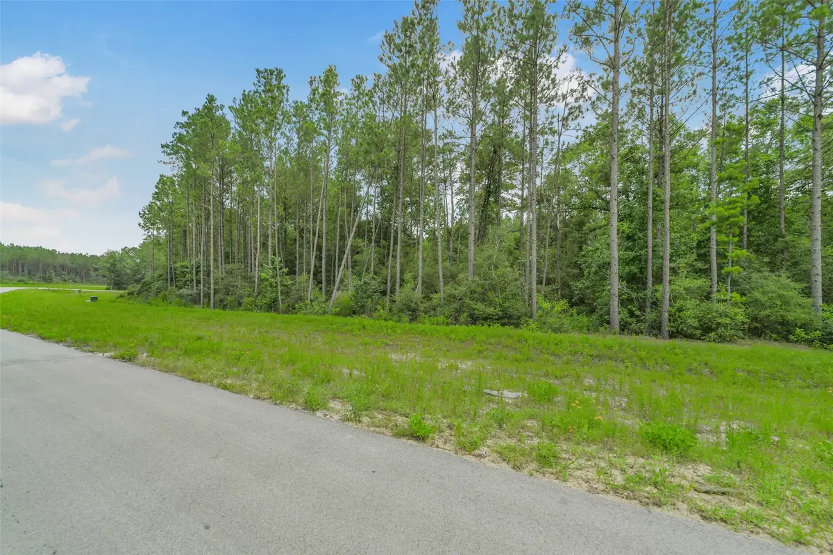 11991 High Branch Way, Willis, TX 77378 - #1