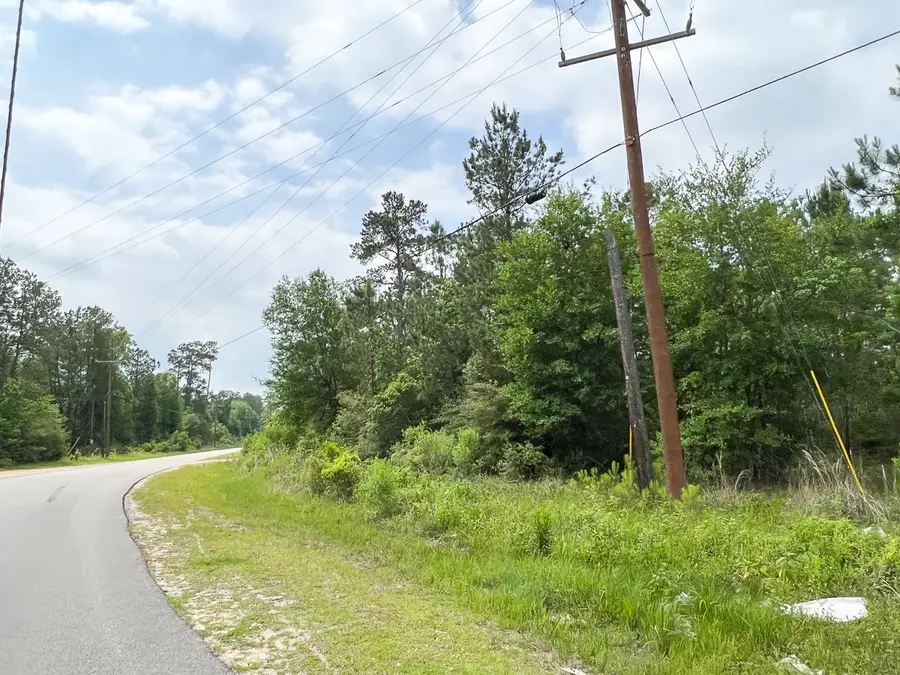 00000 Fm 2937, Silsbee, TX 77656 - #3