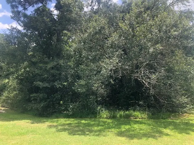 0000 County Road 2134 Off Of Milvid, Hardin Rye, TX 77369 - #1
