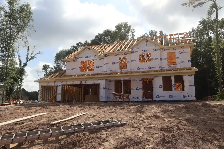 126 Roebuck Lane, New Waverly, TX 77358 - #2