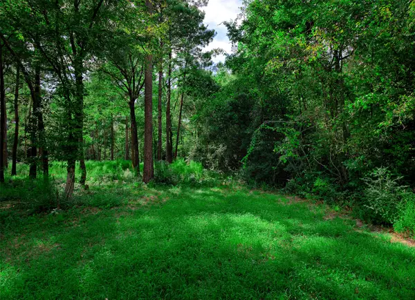 3-15-36 Winchester Road, Huntsville, TX 77340
