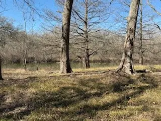 14860 Laguna Vista Drive, Needville, TX 77461 - #2