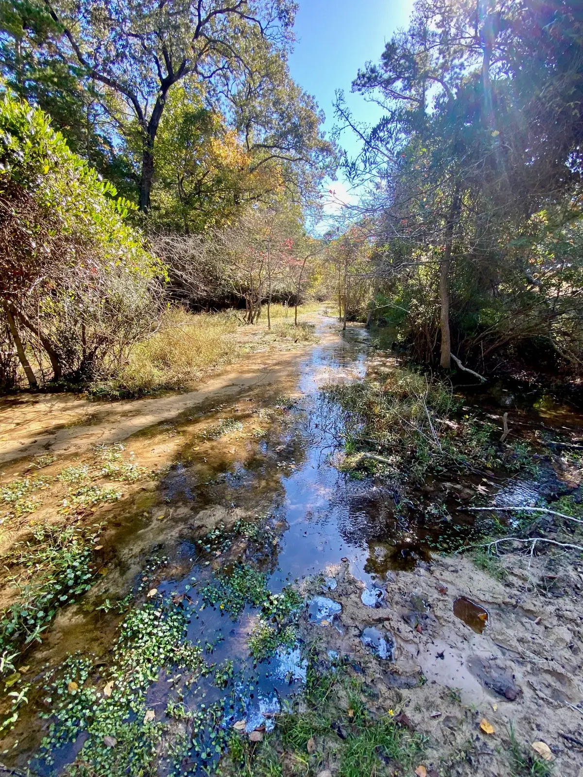 485 Private Road 6142, Grapeland, TX 75844 - #1